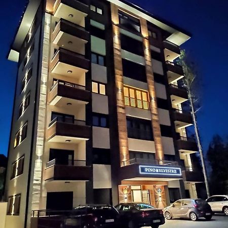 Vila Pino Silvestre Zlatibor Kültér fotó