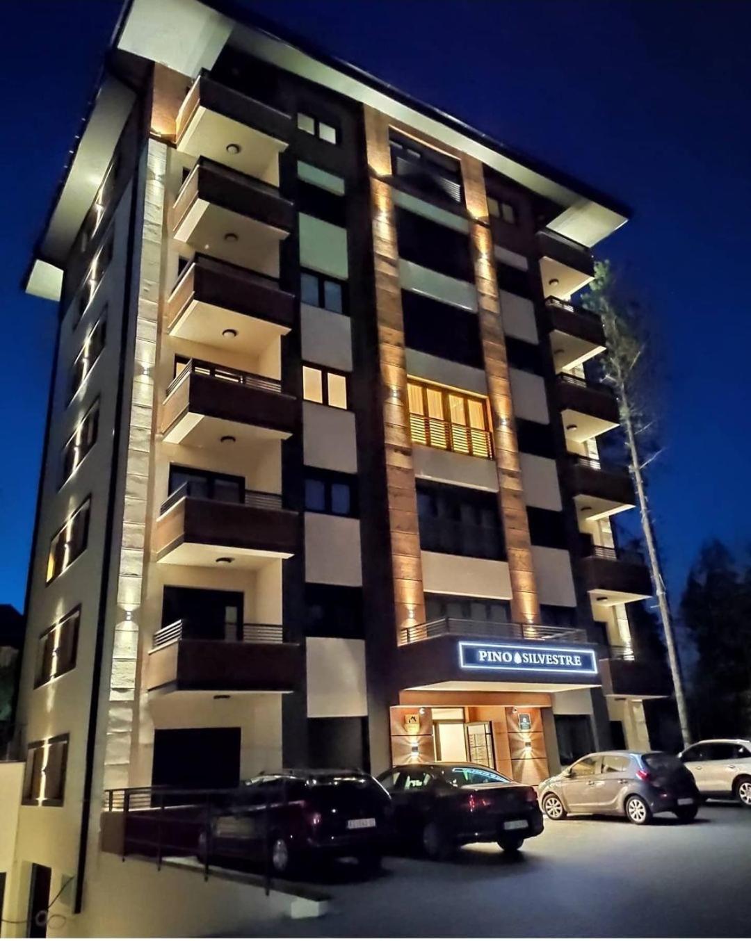 Vila Pino Silvestre Zlatibor Kültér fotó